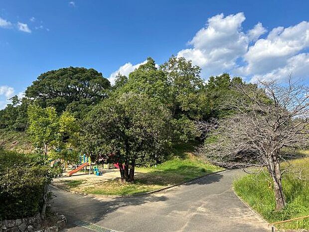 大谷公園