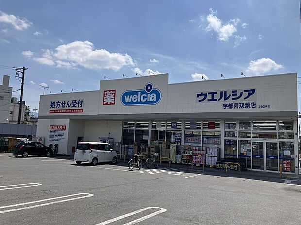 ウエルシア宇都宮双葉店（約208m）