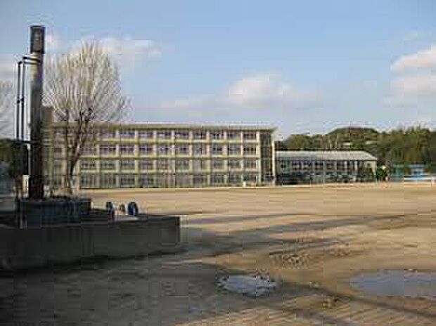 加古川市立神野小学校（約2,300m）