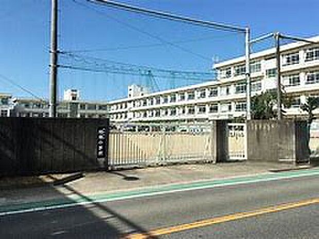 姫路市立旭陽小学校(約300m)
