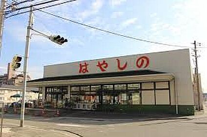 はやしの田寺店 2800ｍ(徒歩35分)