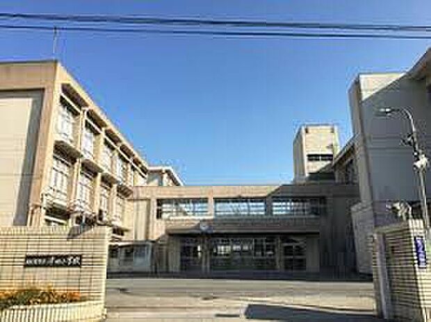 姫路市立津田小学校(約1,300m)