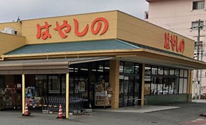 はやしの田寺店 870ｍ(徒歩11分)