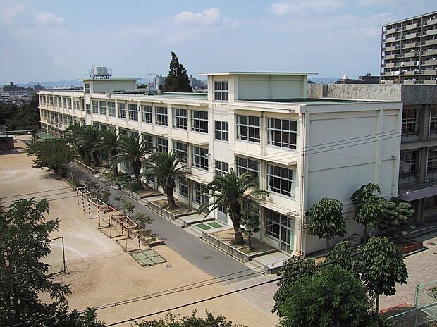 明石市立魚住中学校(約1,000m)