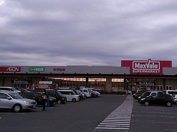 マックスバリュ大久保西店(約1,300m)