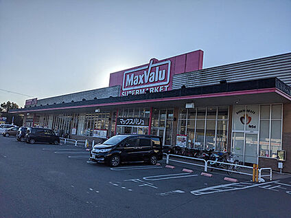 マックスバリュイオンタウン太子店 1100ｍ(徒歩14分)