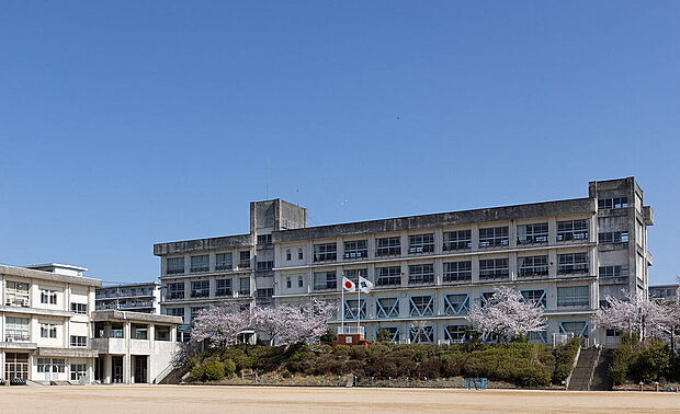 明石市立高丘東小学校(約800m)