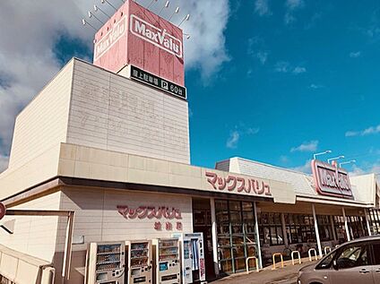 マックスバリュ城山店 1200ｍ(徒歩15分)