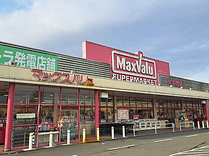 マックスバリュ恵比須店 1100ｍ(徒歩14分)