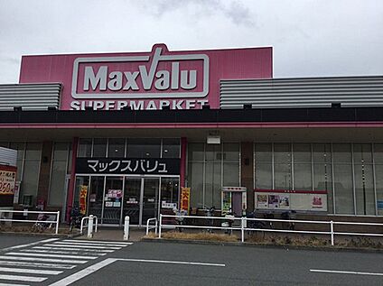 マックスバリュ野口店 590ｍ(徒歩8分)