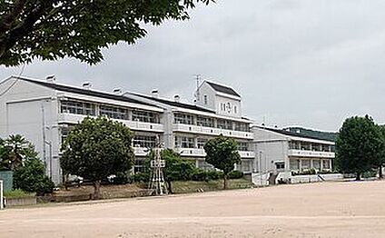 加西市立北条小学校 520ｍ(徒歩7分)