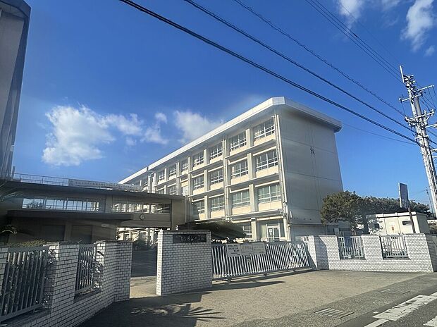 松山市立たちばな小学校（約260m）