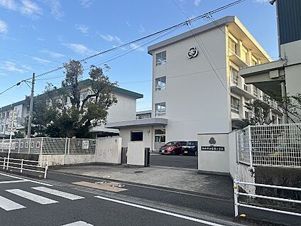松山市立宮前小学校 徒歩450m