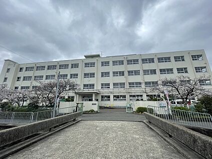 高槻市立柳川小学校 約611m(徒歩8分)