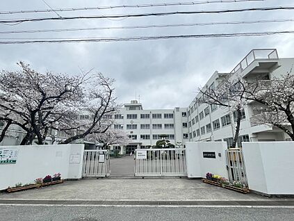 高槻市立柳川中学校 約1224m (徒歩16分)