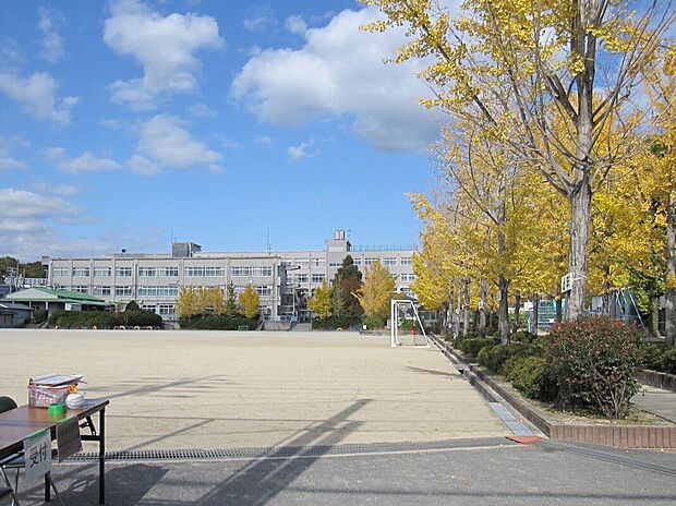 阿武野小学校