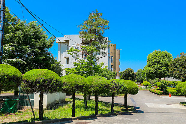 聖ヶ丘小学校（約1,100m）