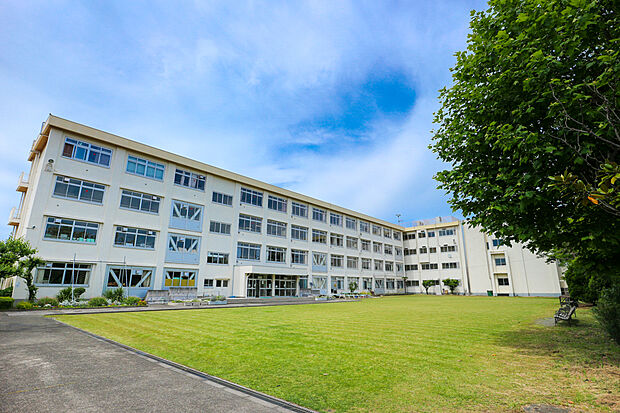 多摩市立東愛宕中学校(約1,200m)