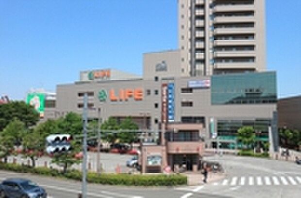 ライフ府中中河原店(約1,000m)