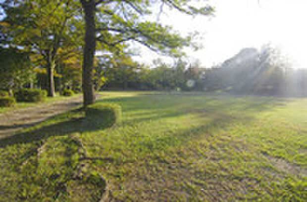 落合南公園