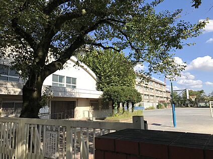国立第七小学校 260ｍ