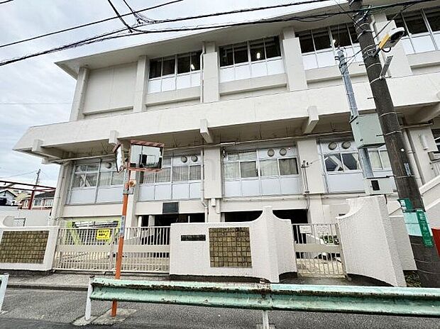 新町小学校（約500m）