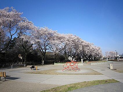 おおぞら公園 450ｍ