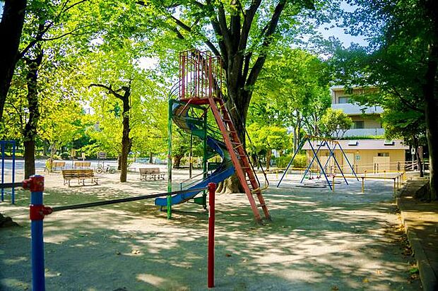 江原公園（約300m）
