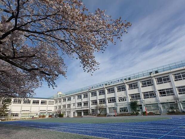 千早小学校(約550m)