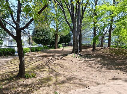 イチョウ公園 90ｍ
