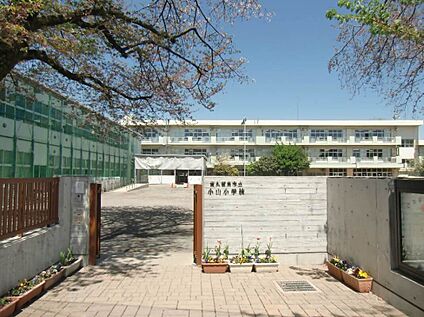 小山小学校 650ｍ