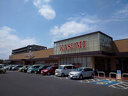 カスミフードスクエアひたちなか笹野店 約1,500m(徒歩約19分)