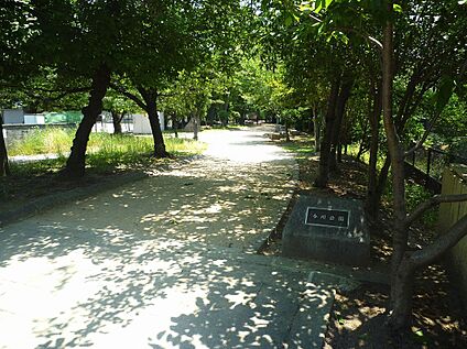 今川公園 約319ｍ(徒歩４分)