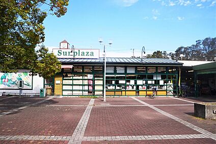 サンプラザさつき野店 約1299ｍ(徒歩１７分)