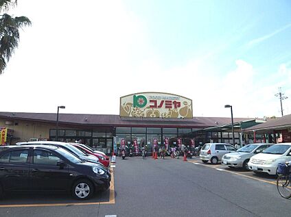 コノミヤ狭山店 約588ｍ(徒歩８分)