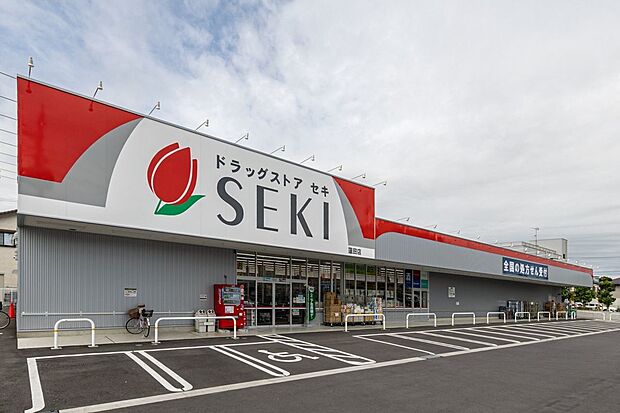 ドラッグストアセキ 蓮田店（約750m）