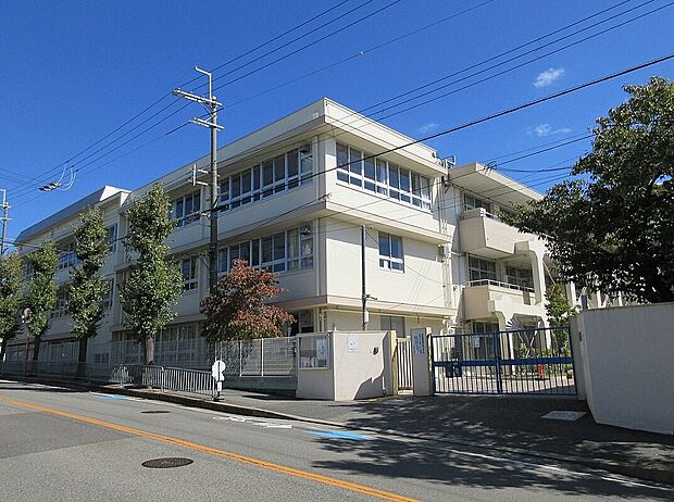 池田市立秦野小学校(約650m)