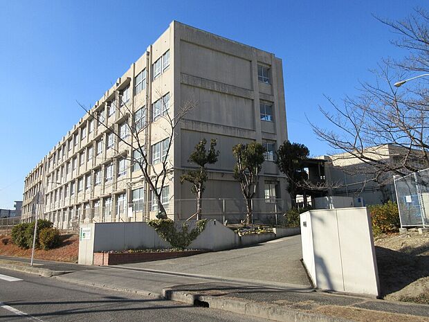 堺市立晴美台中学校（約800m）