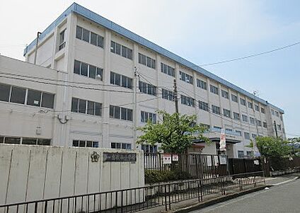 松原市立恵我南小学校 1100ｍ(徒歩14分)