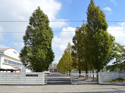 近江八幡市立八幡東中学校 2400ｍ(徒歩30分)