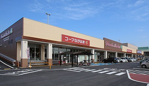 コープながはま店（約1,000m）