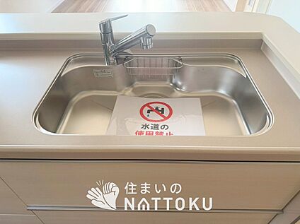 浄水器内臓ハンドシャワー付シンク