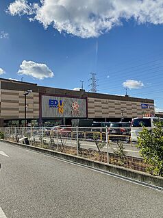 ライフ石津店 1006ｍ(徒歩13分)