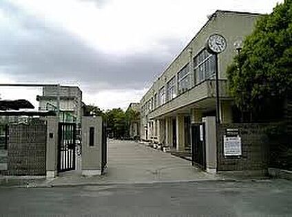 八尾市立大正中学校 3200ｍ(徒歩40分)