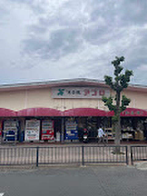 食品館アプロ総持寺店（約587m）