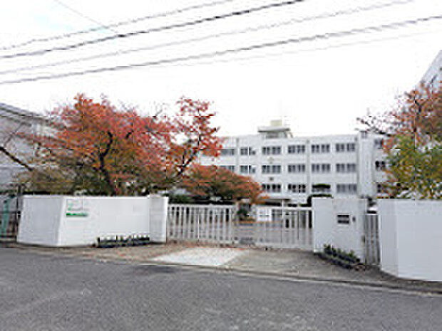 高槻市立柳川中学校（約1,207m）