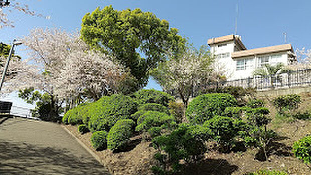 和歌山市立西脇中学校（約1,200m）