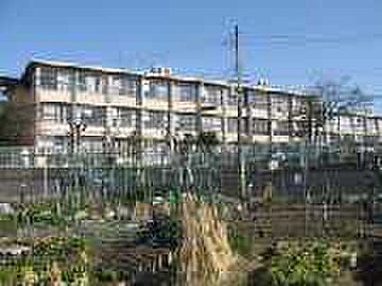 枚方市立樟葉南小学校 500ｍ(徒歩7分)