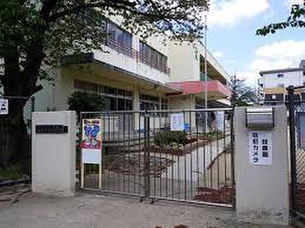 藤井寺市立道明寺南幼稚園(約550m)