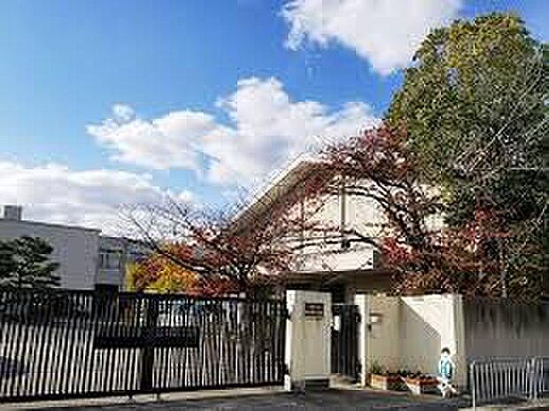 京都市立桃山南小学校(約450m)